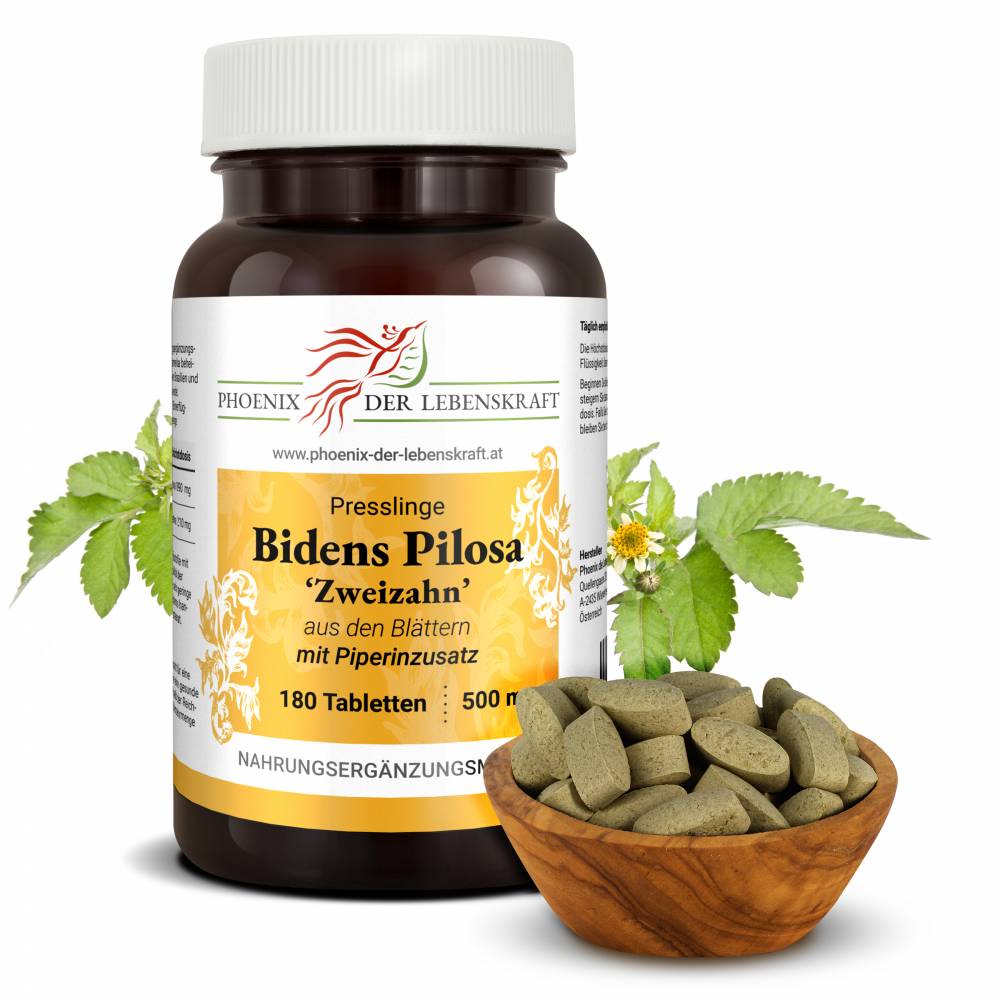 Bidens Pilosa Tabletten, 500 mg