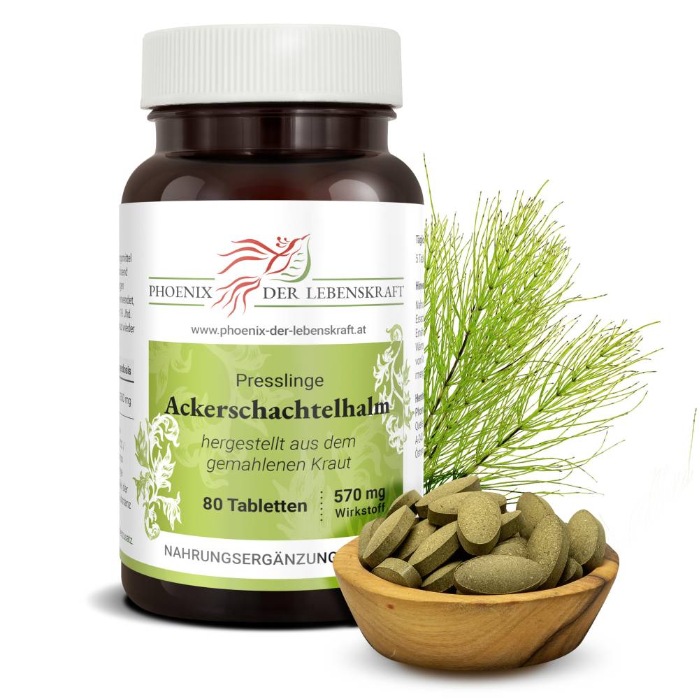 Ackerschachtelhalm (Equisetum arvense) - Tabletten, 570 mg Wirkstoff