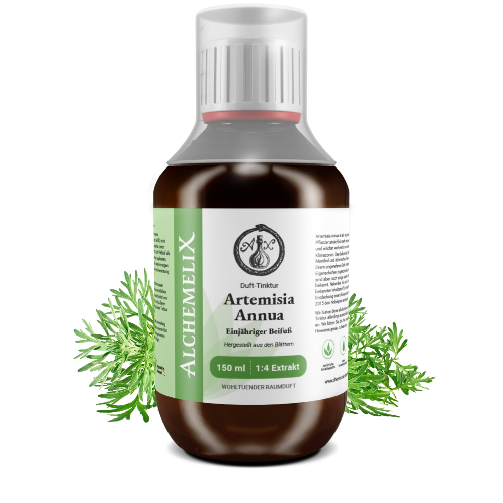 Artemisia Annua- 150 ml alkoholfreie Tinktur mit Dosierhilfe