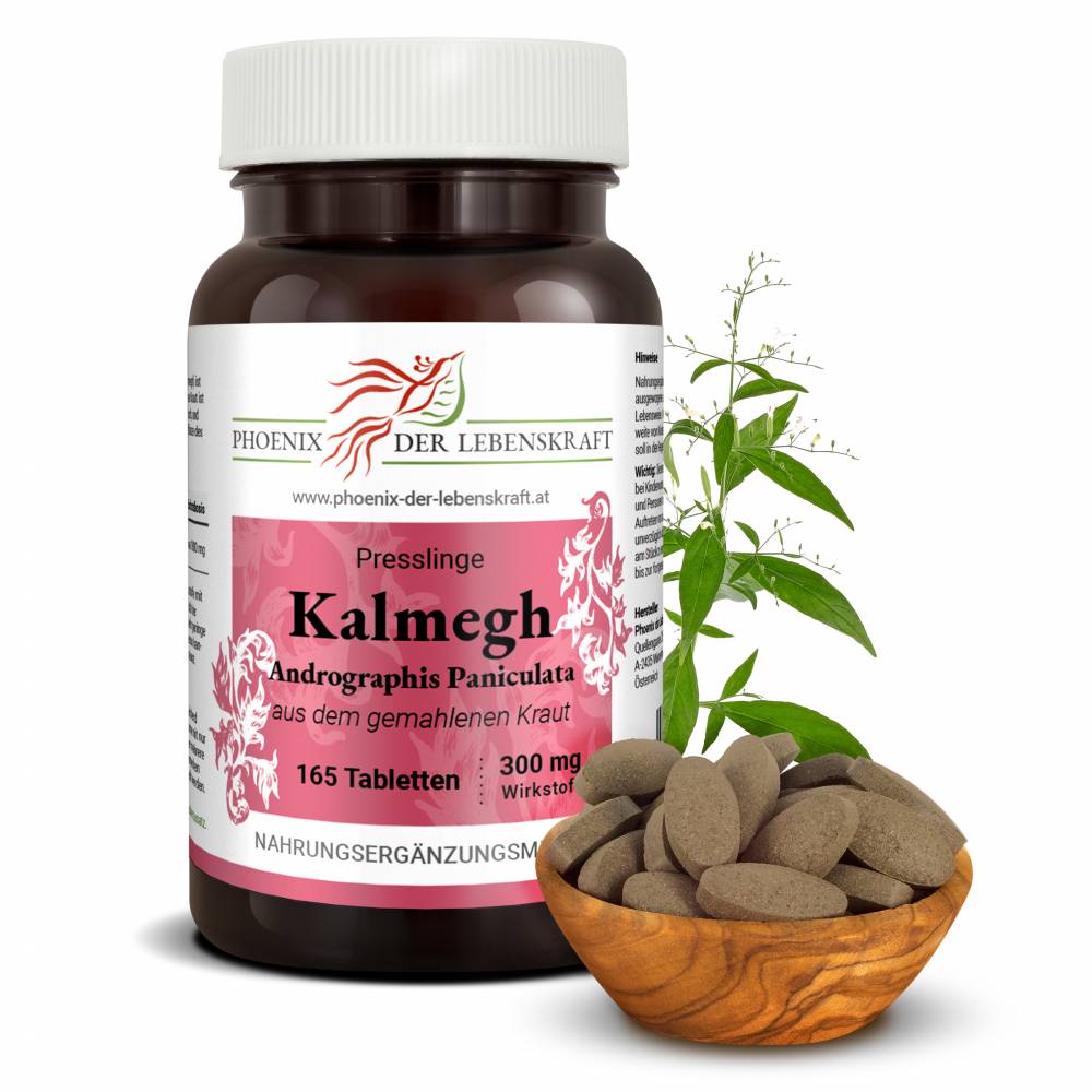 Kalmegh (Andrographis Paniculata) Tabletten, 500 mg