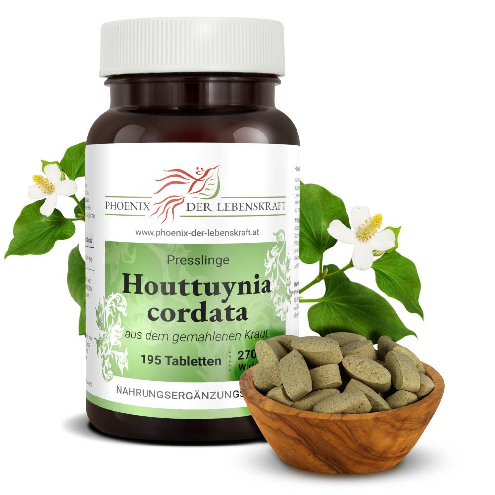 Molchschwanz (Houttuynia cordata) - Tabletten, 270 mg Wirkstoff