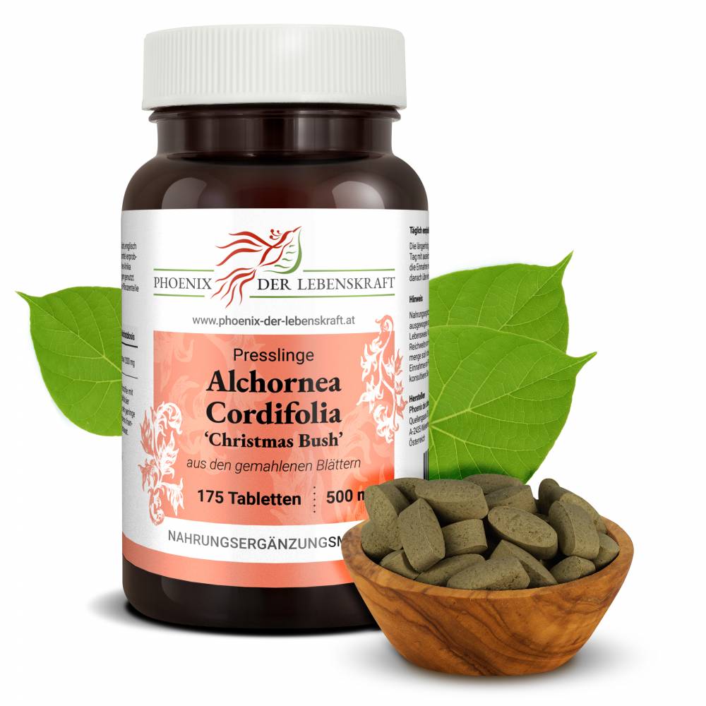 Alchornea Cordifolia Tabletten, 500 mg