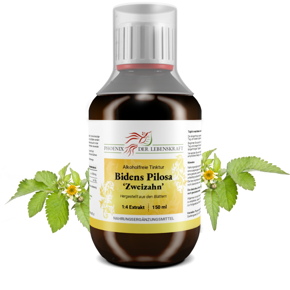 Bidens Pilosa - alkoholfreie Tinktur, 150 ml