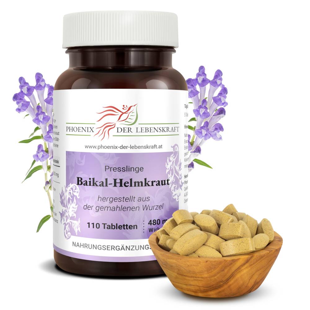 Baikal Helmkraut (Scutellaria baicalensis) - Tabletten, 480 mg Wirkstoff