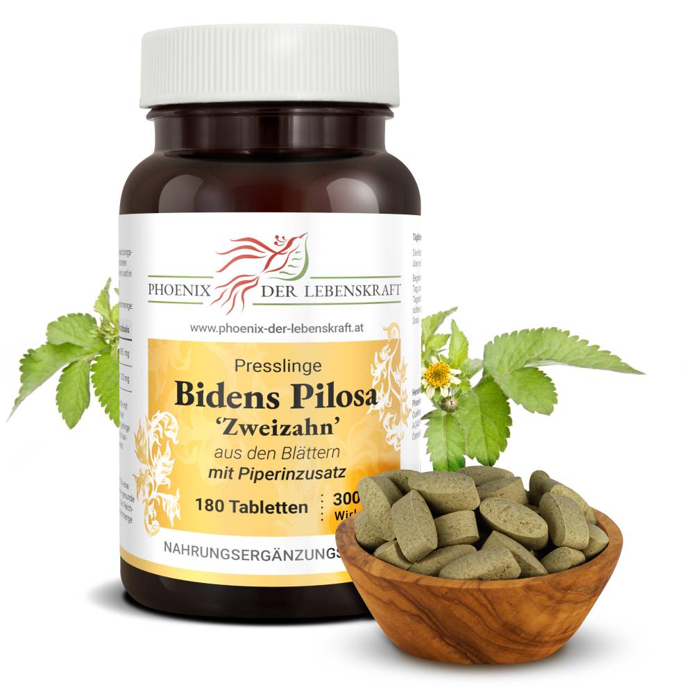 Behaarter Zweizahn (Bidens pilosa) - Tabletten, 300 mg Wirkstoff