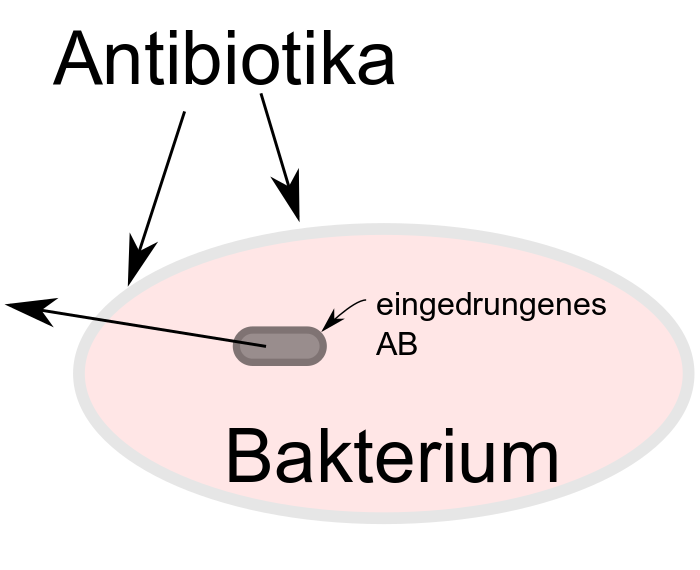 blog_antibiotikaresistenz_5