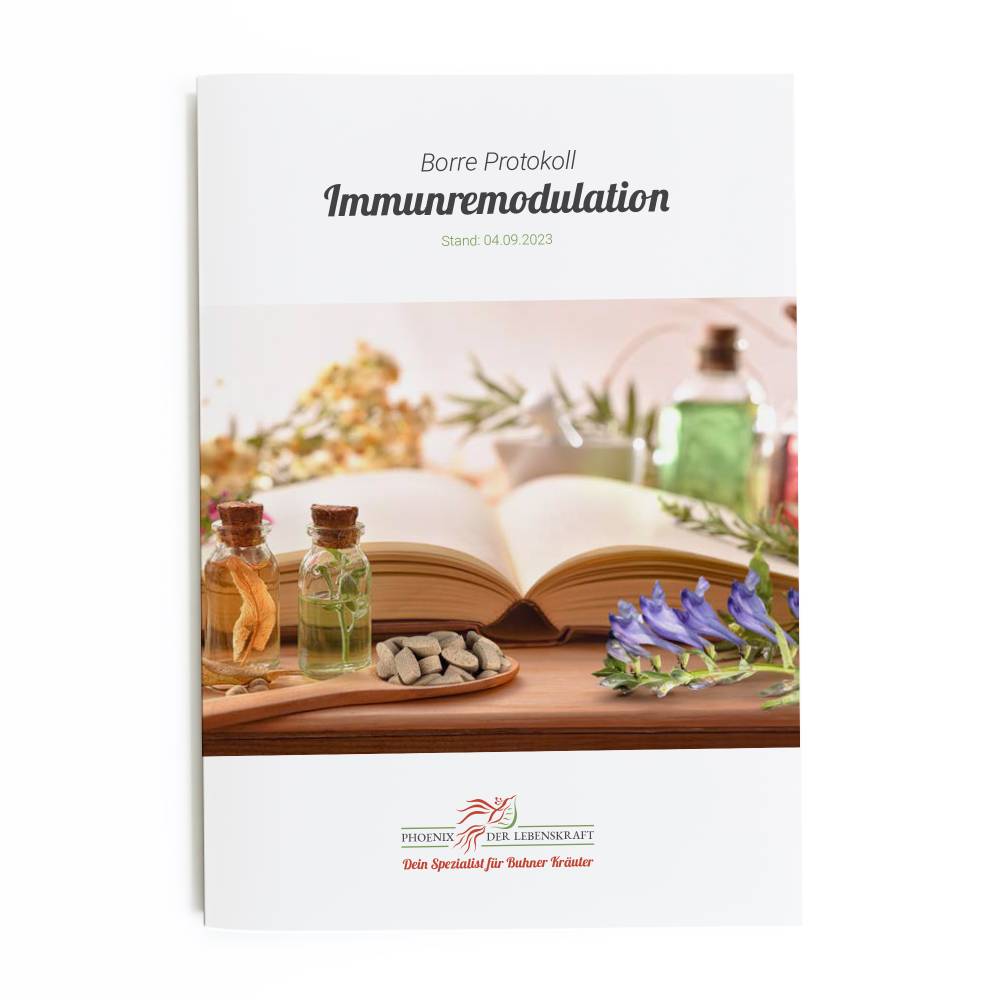 Immunremodulation - Borre Protokoll nach Buhner (als PDF)