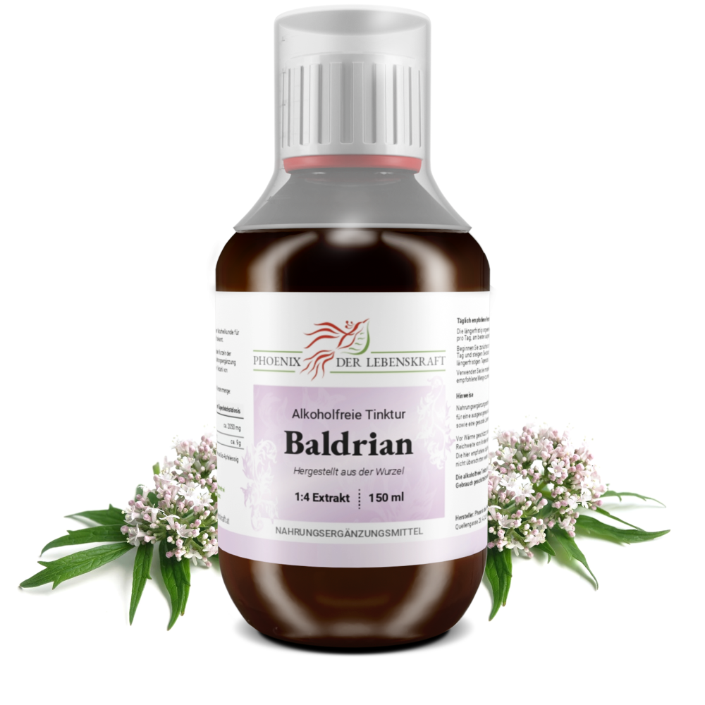 Baldrian (Valeriana officinalis) - alkoholfreie Tinktur