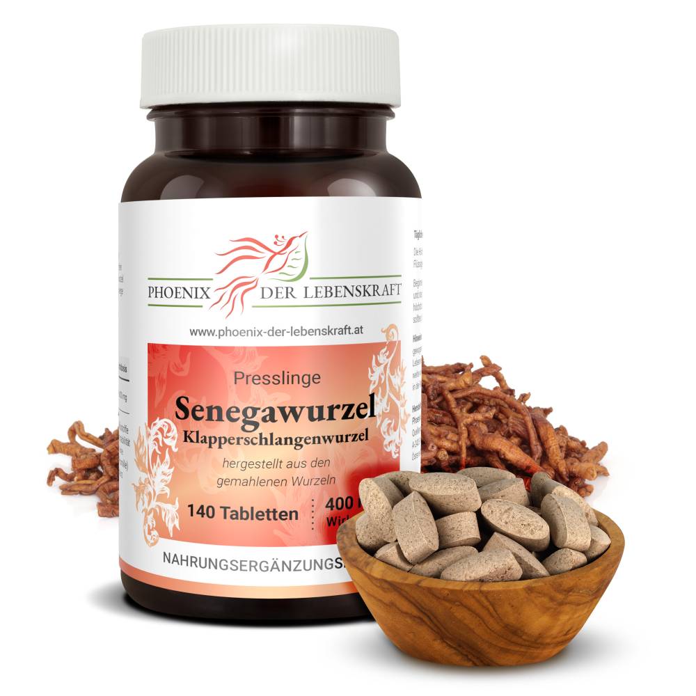 Senegawurzel (Polygala tenuifolia) - Tabletten, 400 mg Wirkstoff